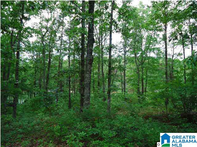Camelia Lane, Unit 74 Wedowee, AL 36278 - Photo 6 of 10
