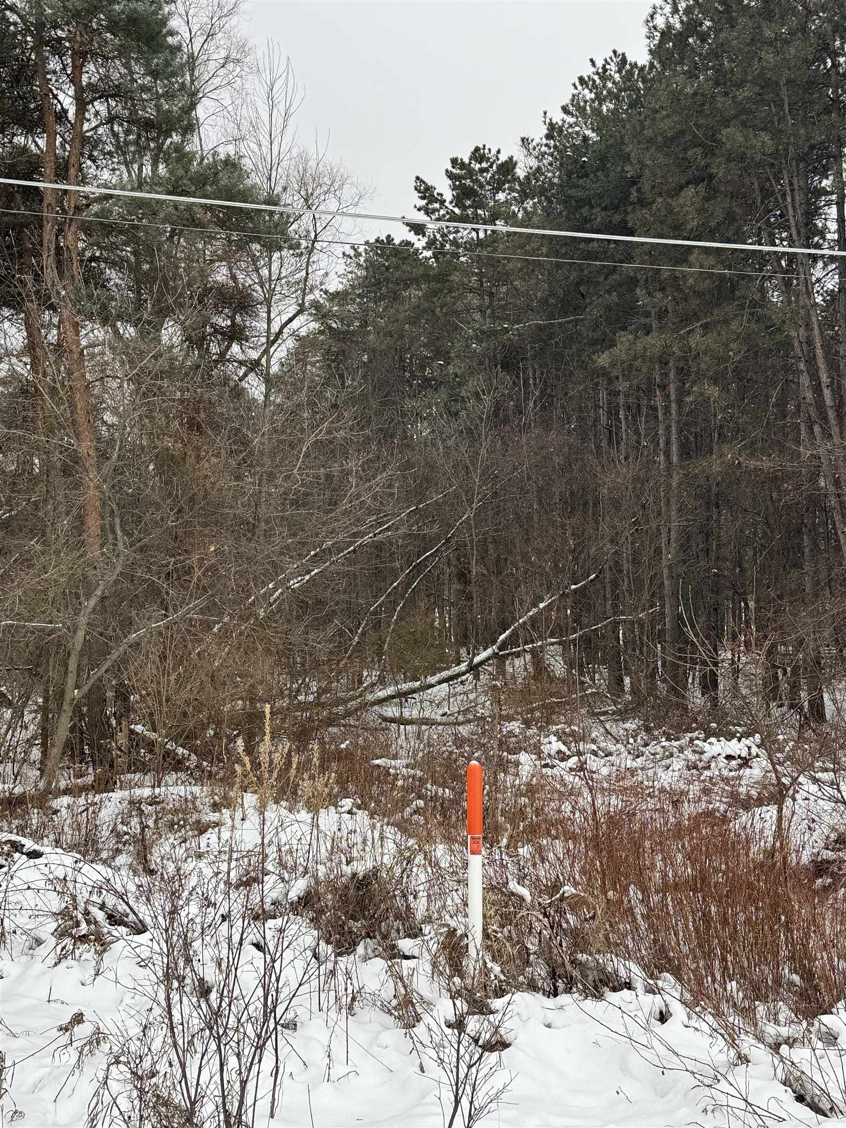 V/l West Caro Road Caro, MI 48723 - Photo 10 of 12