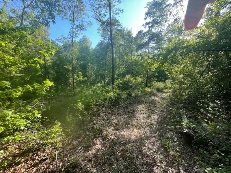 815 A J Irvin Road Talmo, GA 30567 - Photo 5 of 5