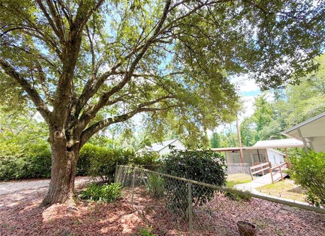 23544 Blood River Road Springfield, LA 70462 - Photo 21 of 23