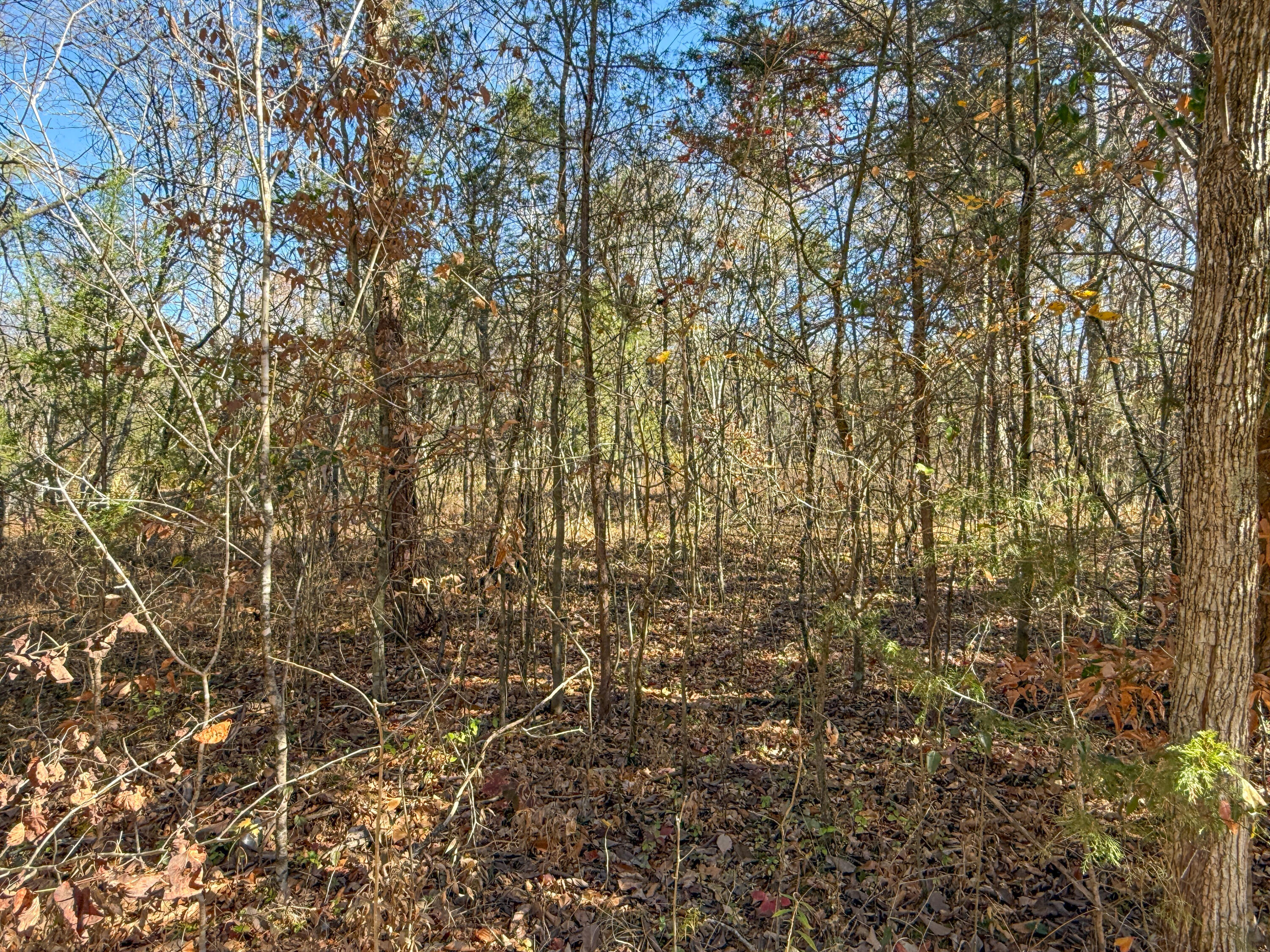 Lot 179 Genes Road Somerset, KY 42501 - Photo 7 of 11 B8369BCC-121C-48BA-AA68-19CFBB003789