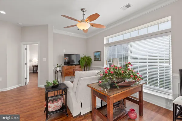 a living room with furniture a window and a potted plant