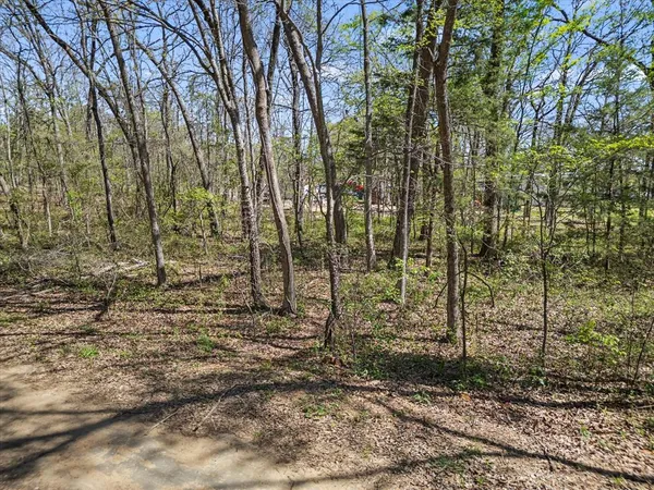 a view of a pathway with a yard