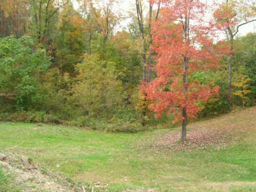 133 Mowry Road Monaca, PA 15061 - Photo 8 of 8 Other.