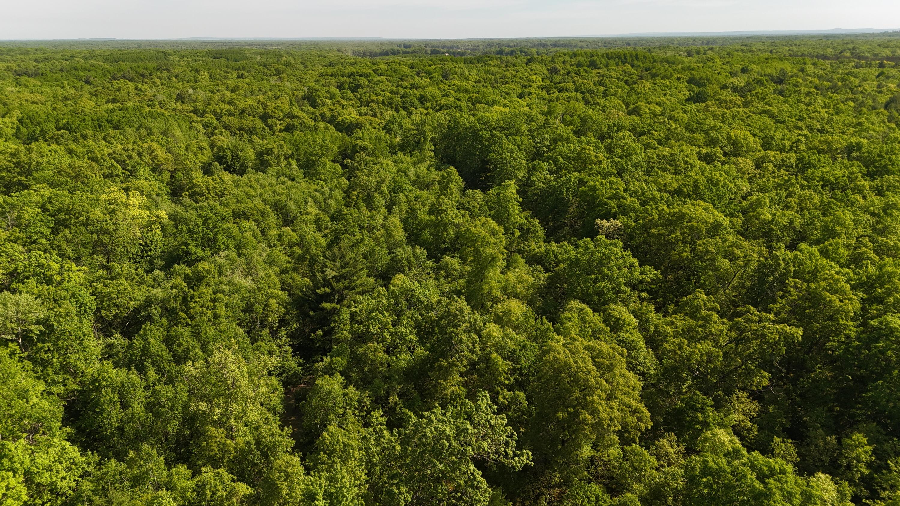 7 West Mile Road Irons, MI 49644 - Photo 1 of 49 DJI_20260604101844_0259_D