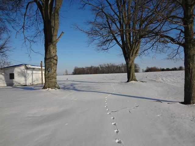 60750 Elm Road Mishawaka, IN 46544 - Photo 17 of 19