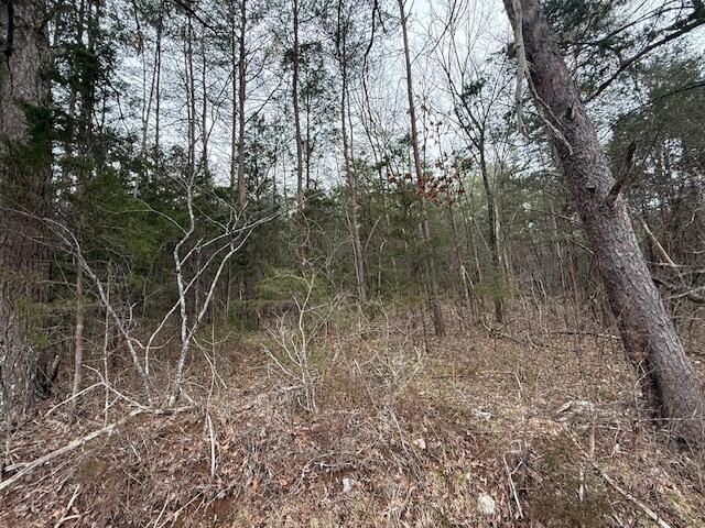 790 Rd Bronston Key Bronston, KY 42518 - Photo 4 of 27 image26