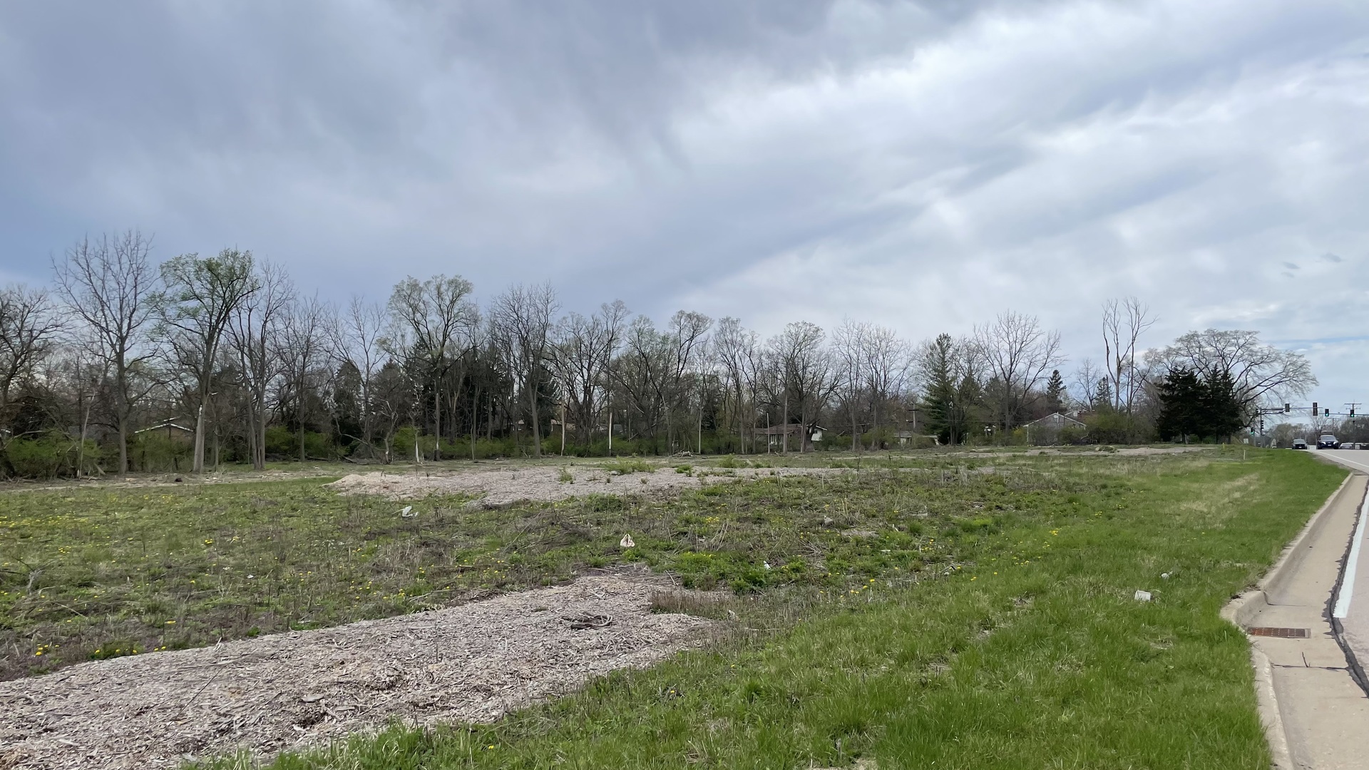 1601 Higgins Road Sleepy Hollow, IL 60118 - Photo 11 of 17 a view of a field with trees in background