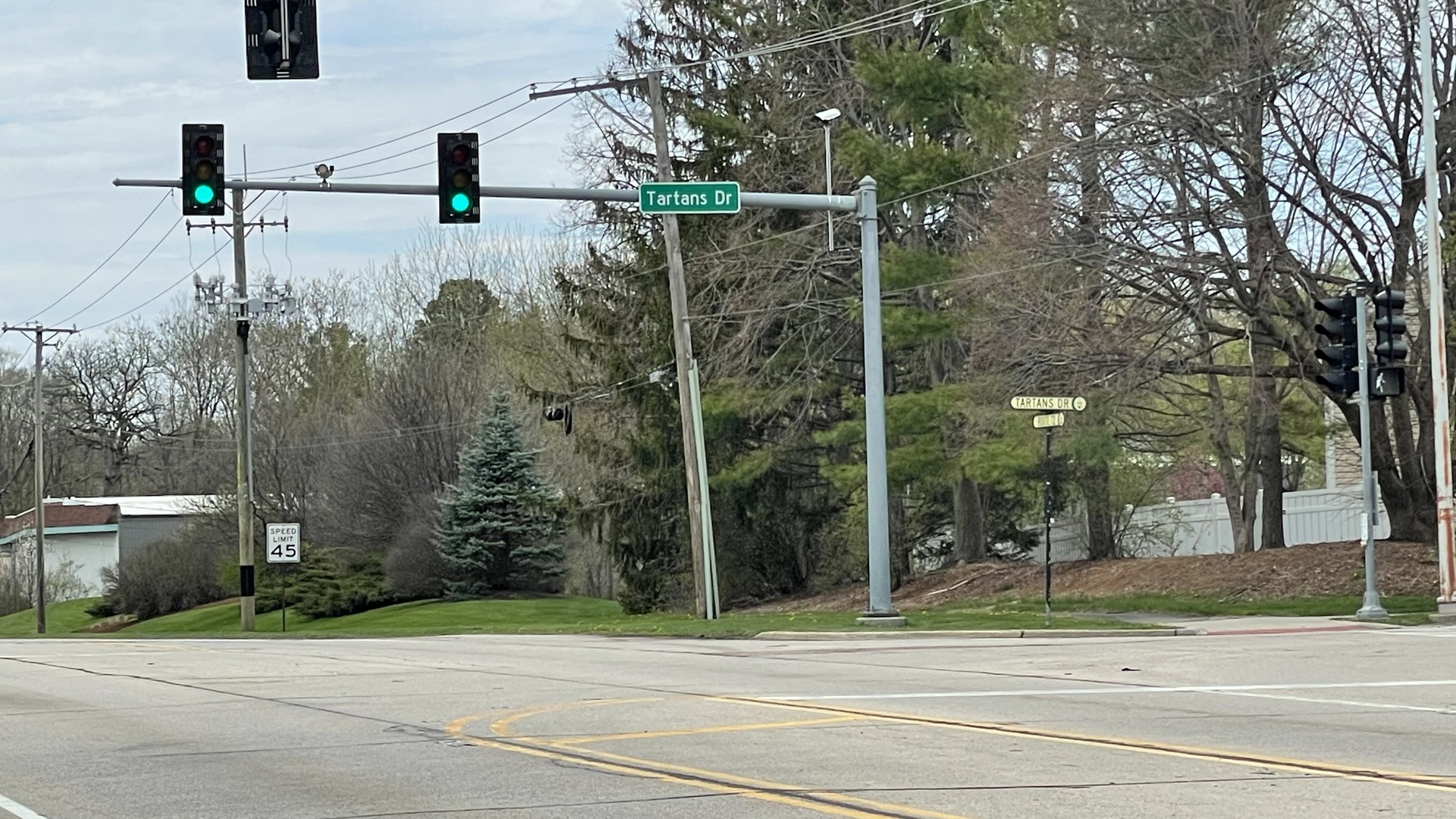 1601 Higgins Road Sleepy Hollow, IL 60118 - Photo 12 of 17 a view of street with tall buildings