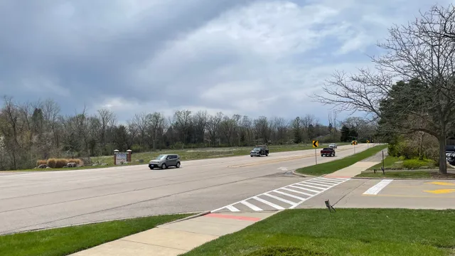 a view of park with large trees
