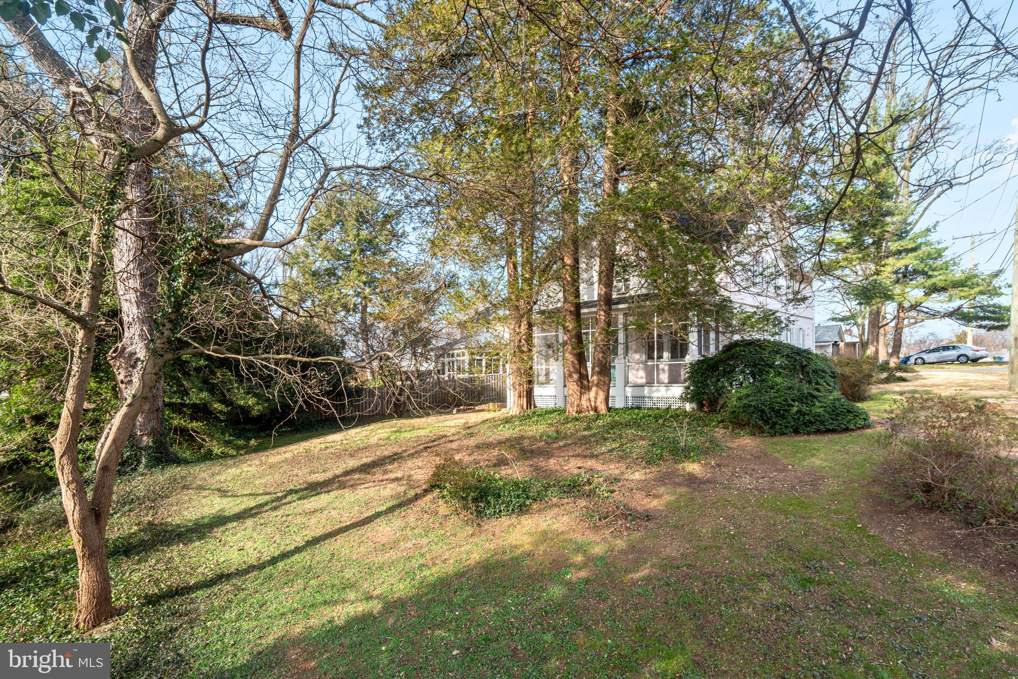 9006 3rd Avenue Silver Spring, MD 20910 - Photo 33 of 38 TRANQUIL SETTING