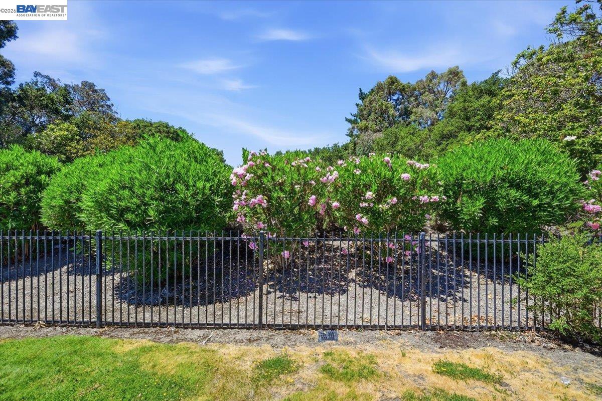 165 Rosario Court San Ramon, CA 94583 - Photo 59 of 67