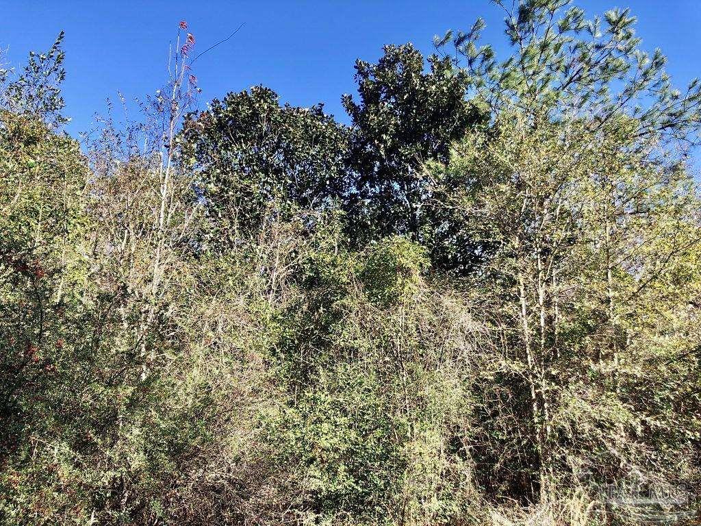 Lot 20-sw Bashi Road Pace, FL 32571 - Photo 20 of 21