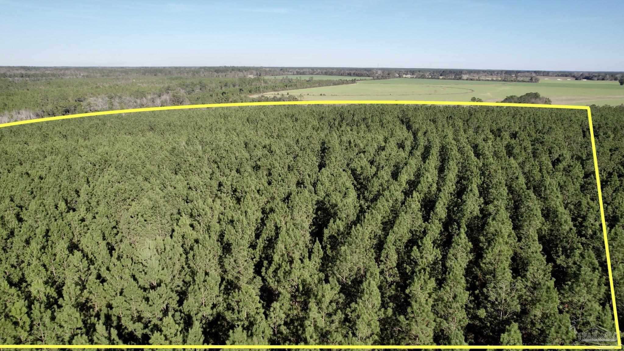 Lot 20-sw Bashi Road Pace, FL 32571 - Photo 2 of 21