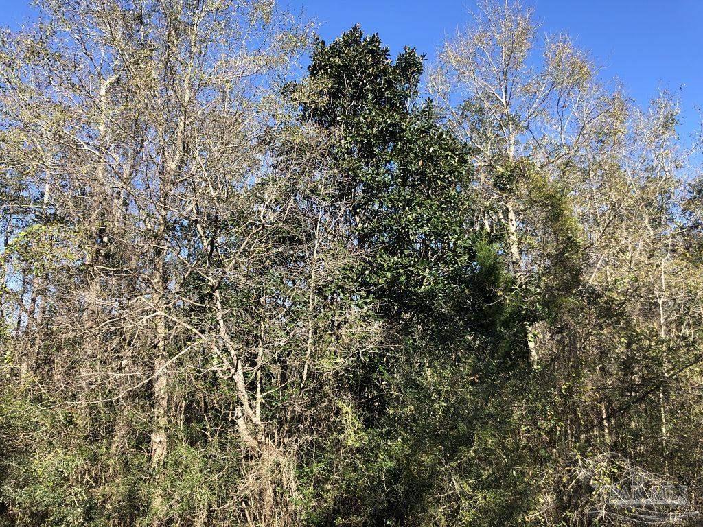 Lot 20-sw Bashi Road Pace, FL 32571 - Photo 21 of 21