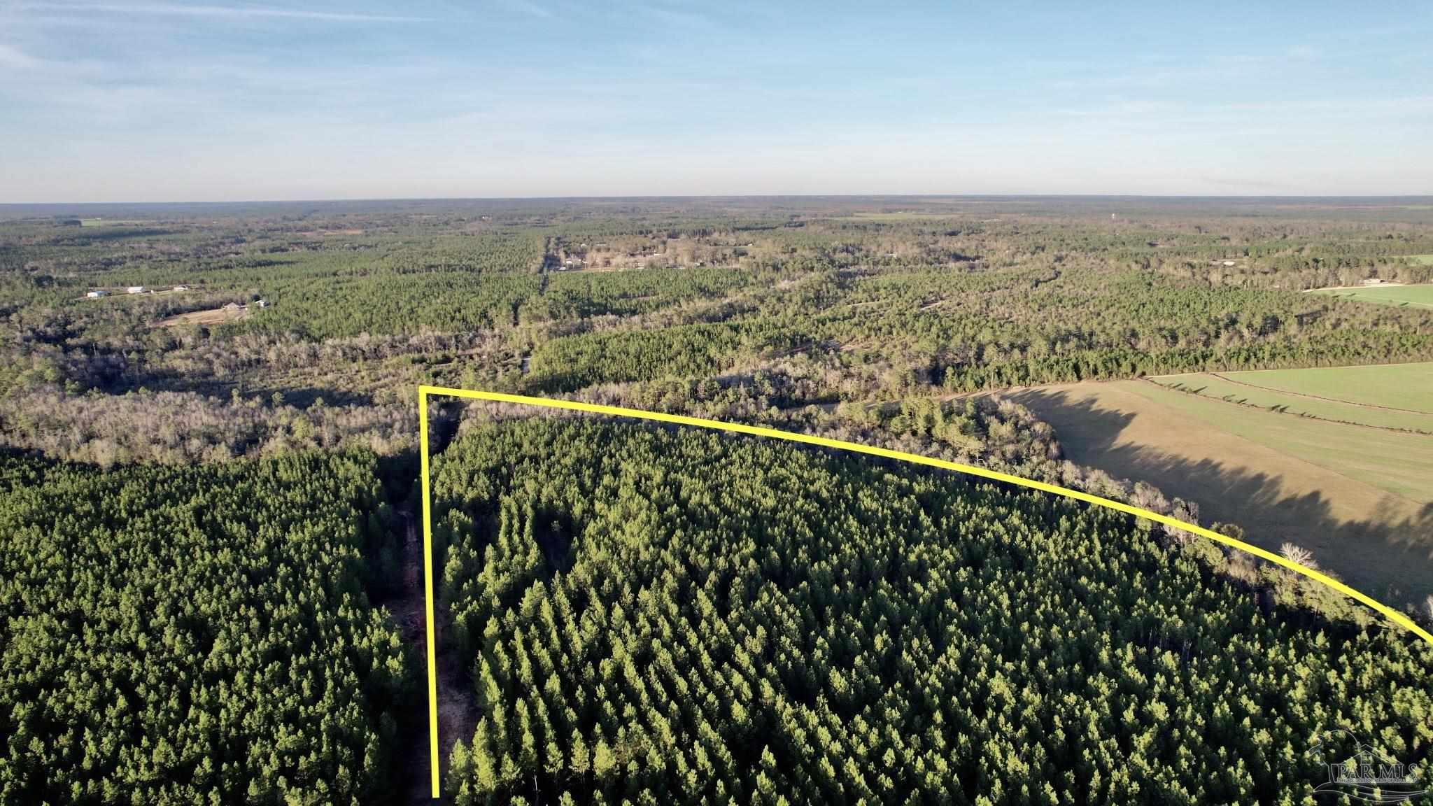 Lot 20-sw Bashi Road Pace, FL 32571 - Photo 3 of 21