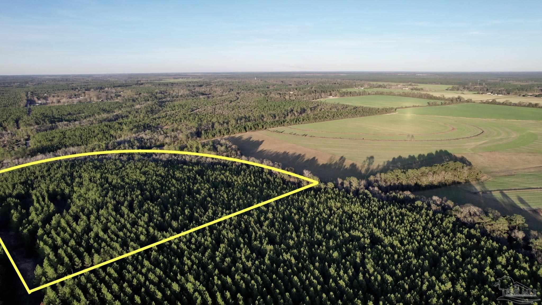 Lot 20-sw Bashi Road Pace, FL 32571 - Photo 4 of 21