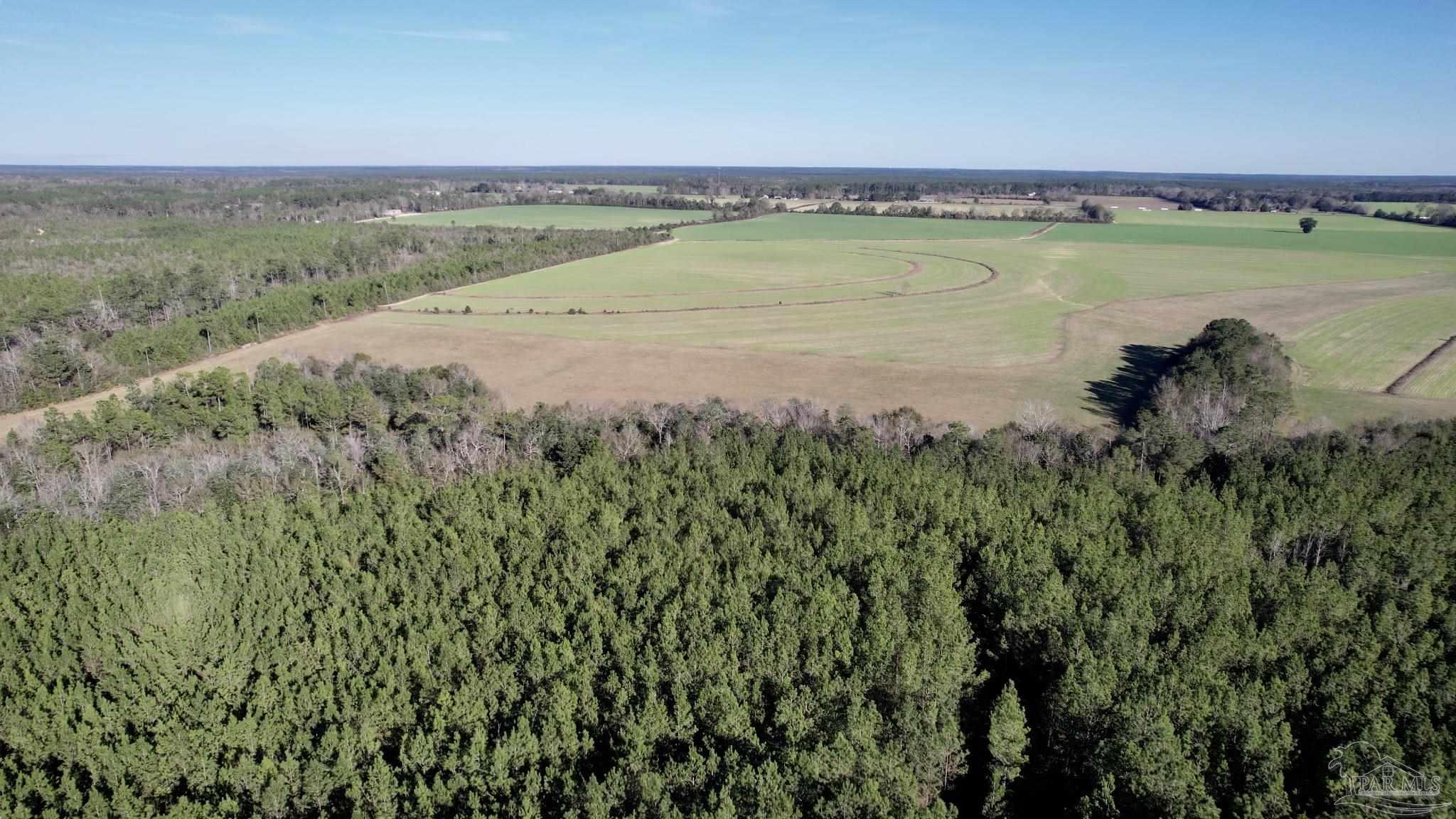 Lot 20-sw Bashi Road Pace, FL 32571 - Photo 7 of 21