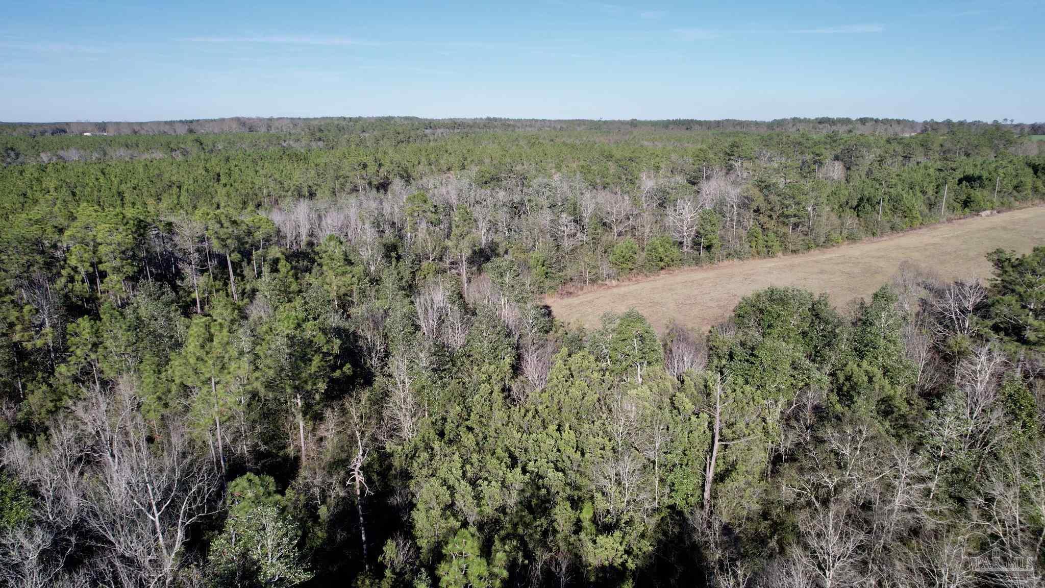 Lot 20-sw Bashi Road Pace, FL 32571 - Photo 8 of 21