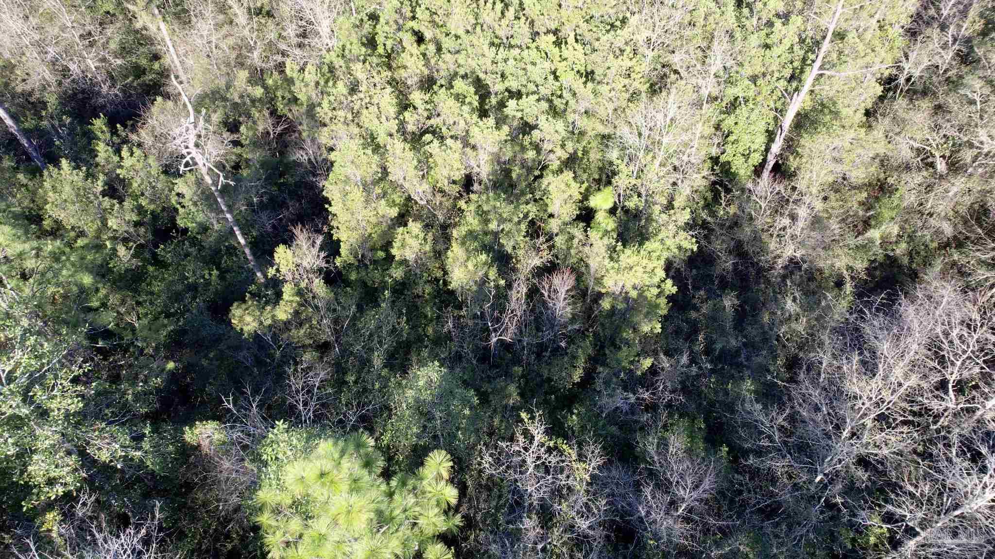 Lot 20-sw Bashi Road Pace, FL 32571 - Photo 9 of 21
