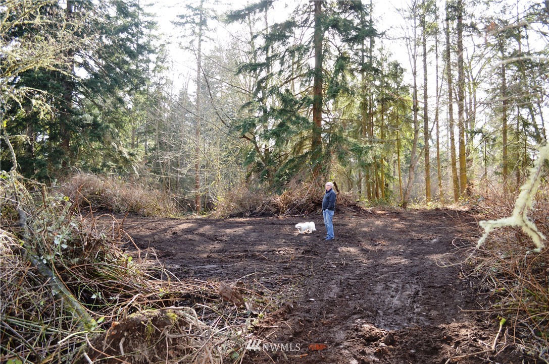 1100 East Bush Point Road Freeland, WA 98249 - Photo 14 of 27 Gallery Image 14