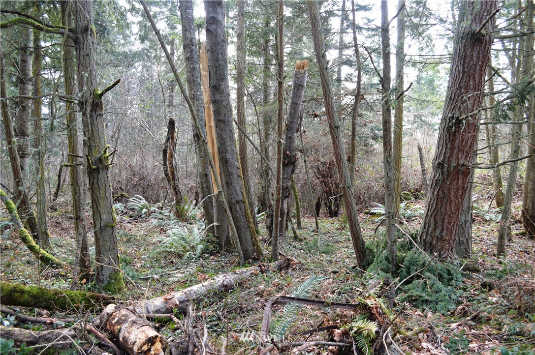 1100 East Bush Point Road Freeland, WA 98249 - Photo 22 of 27 Gallery Image 22