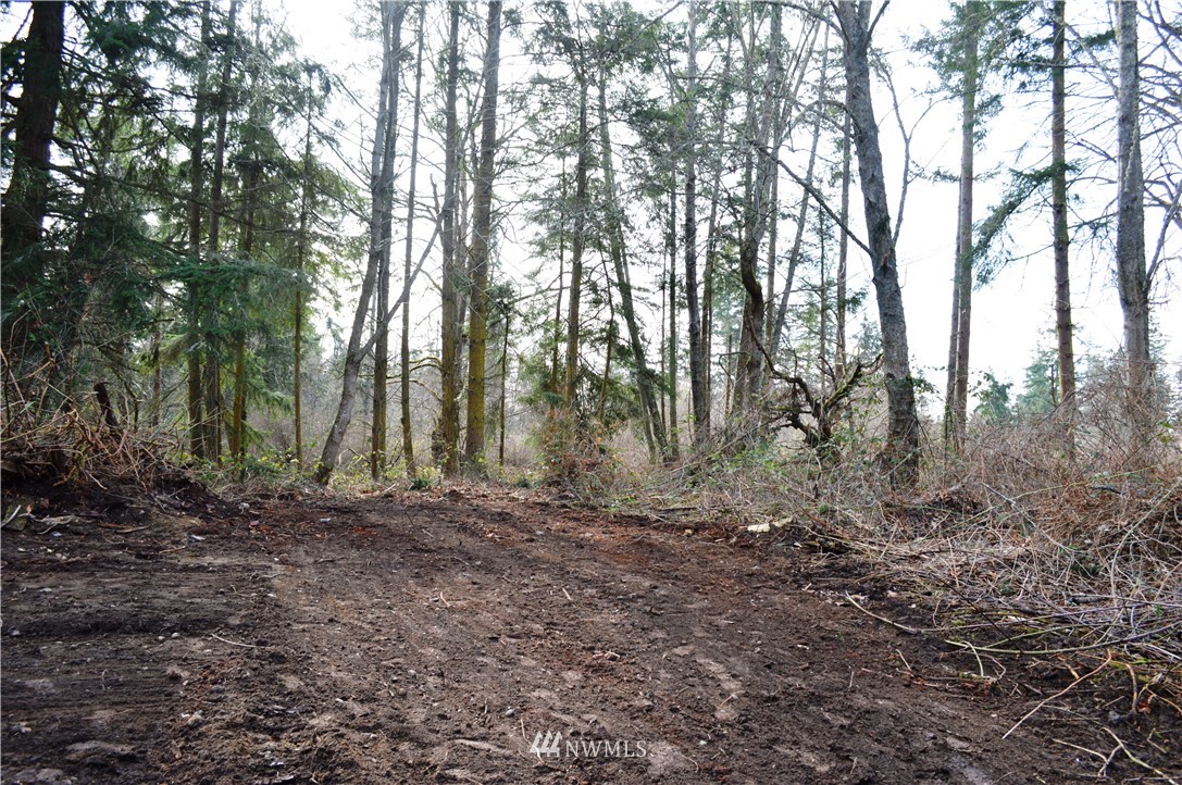 1100 East Bush Point Road Freeland, WA 98249 - Photo 4 of 27 Gallery Image 4