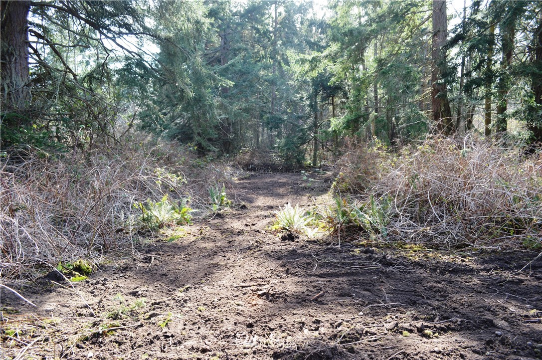 1100 East Bush Point Road Freeland, WA 98249 - Photo 8 of 27 Gallery Image 8