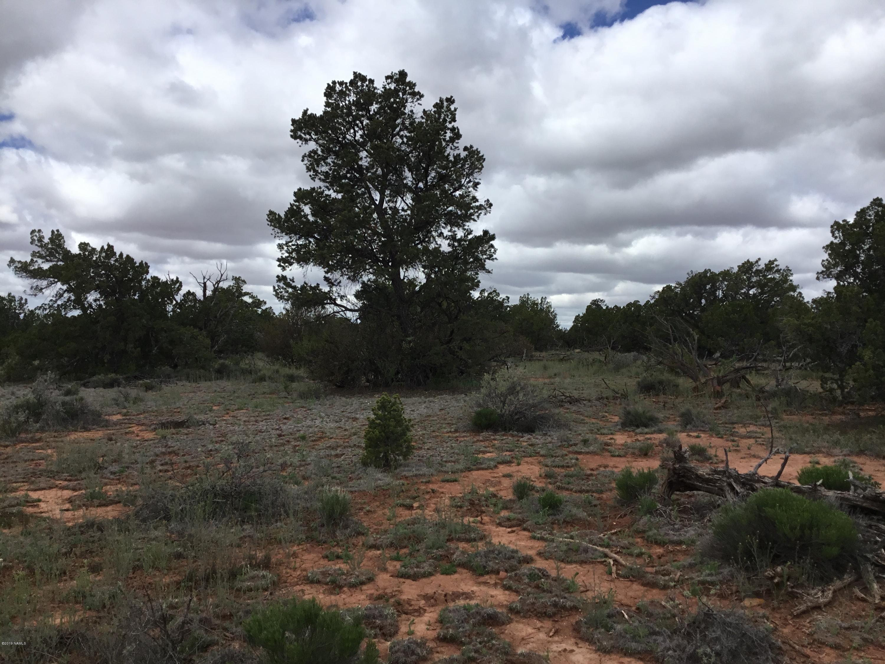 2670 North Lipan Road Williams, AZ 86046 - Photo 9 of 9 BCFB3EB7-6491-46C6-AC3A-DFB66799D131