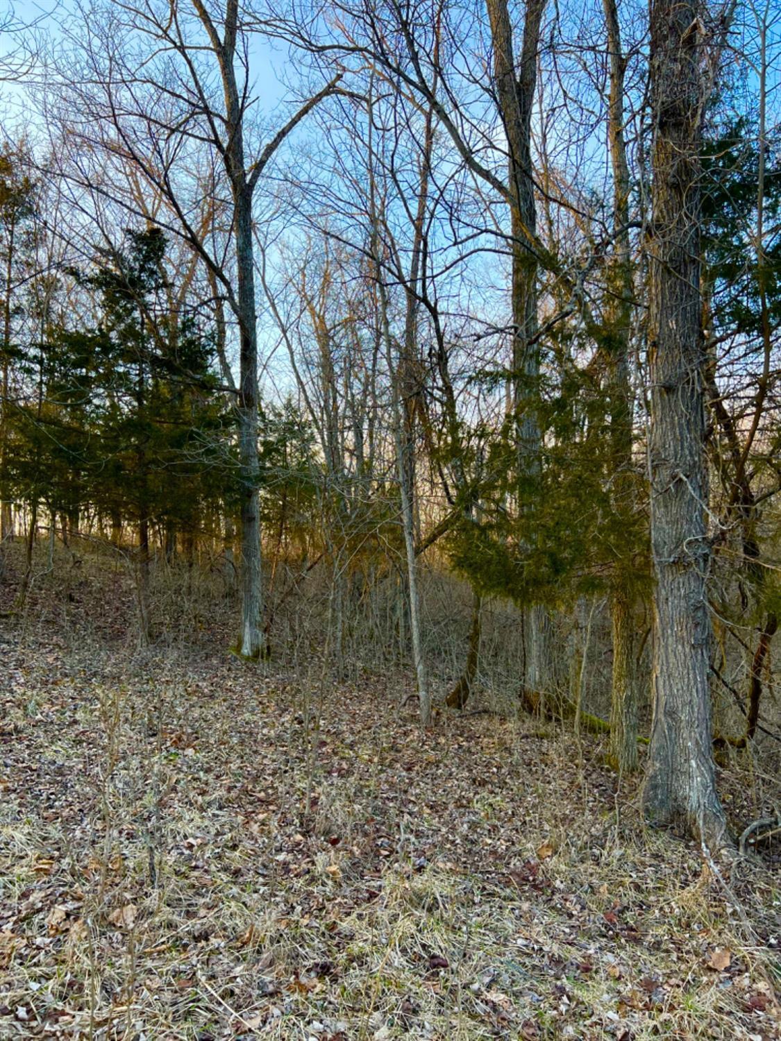 0 Ridgeland Road Manchester, OH 45144 - Photo 14 of 35