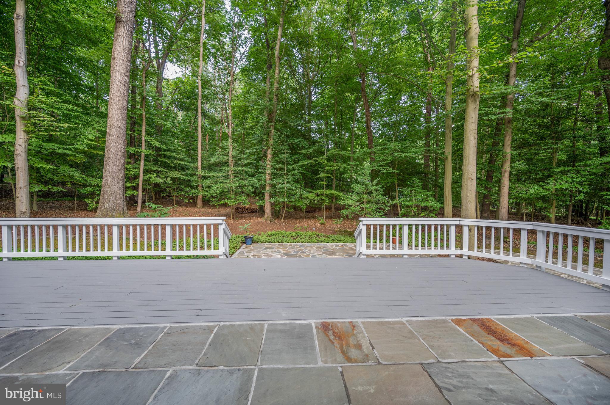 9501 Watts Road Great Falls, VA 22066 - Photo 66 of 73 Expansive deck overlooking flat yard