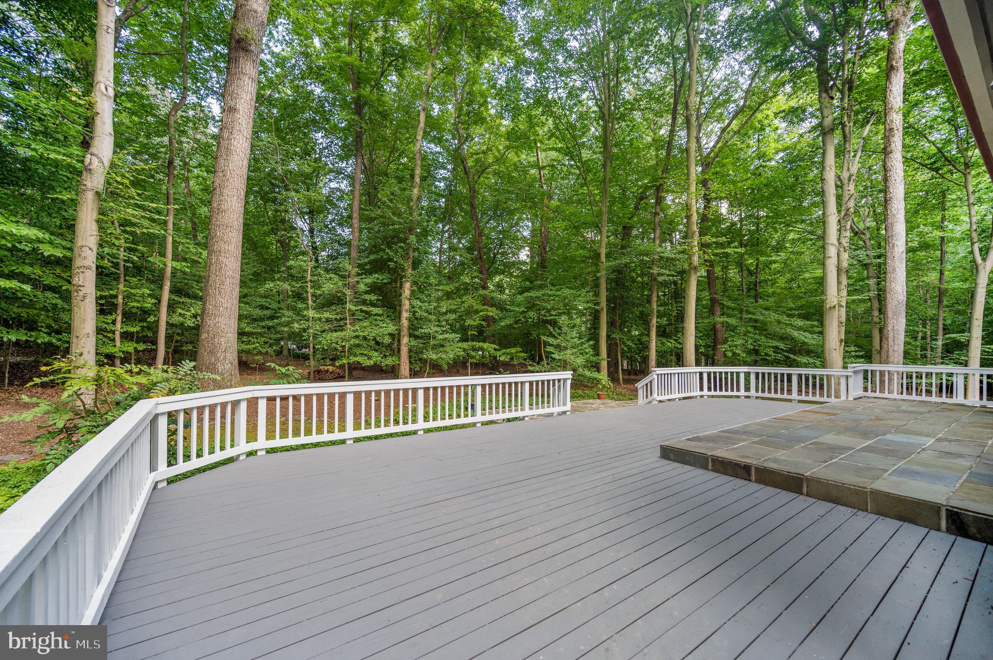 9501 Watts Road Great Falls, VA 22066 - Photo 67 of 73 Gallery Image 67