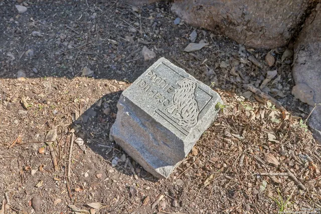 a view of a bench in a yard