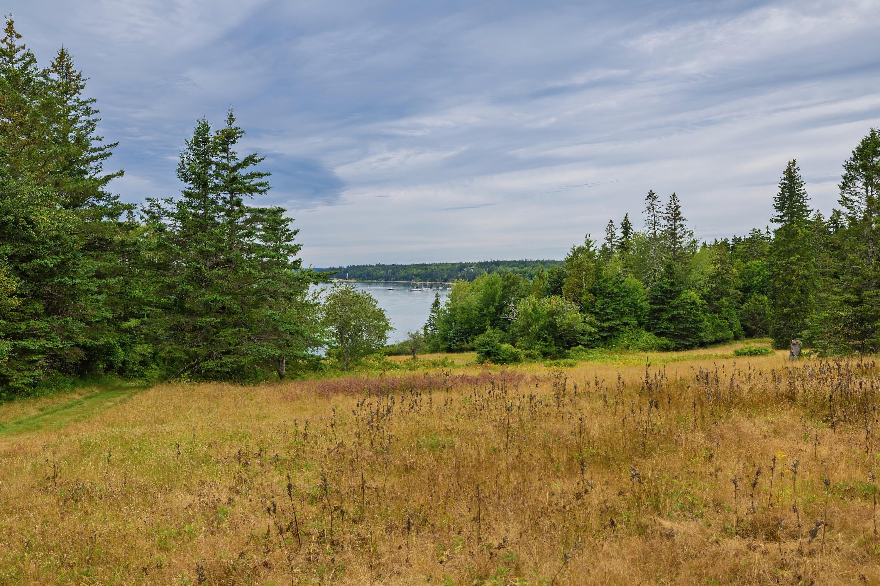 163 Back Road Brooklin, ME 04616 - Photo 120 of 132 164backroad - 143
