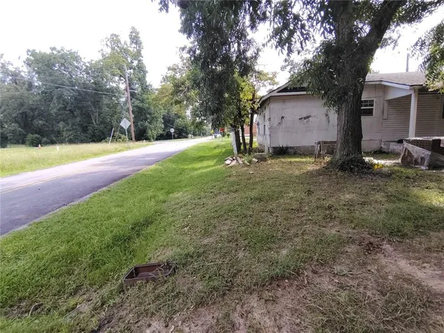 a park with large trees