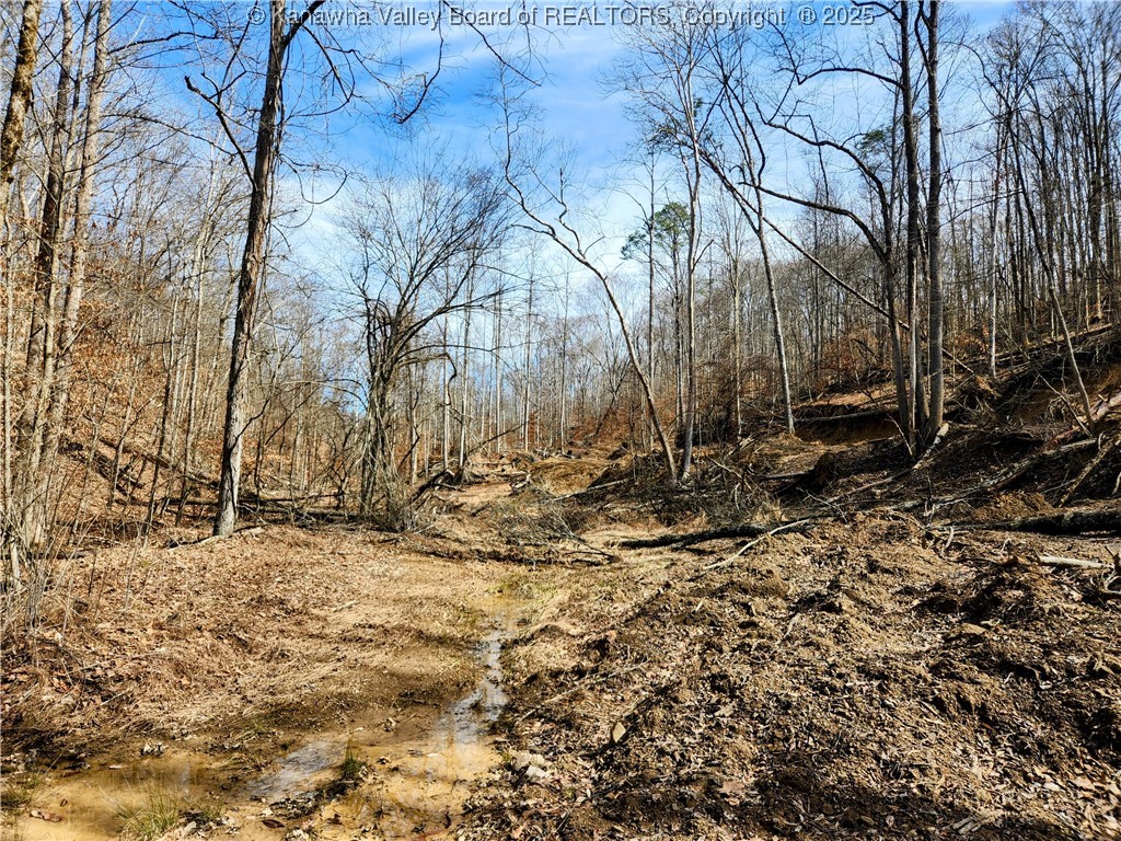 0 Indian Creek Road Elkview, WV 25071 - Photo 2 of 18 Toler Rd Access