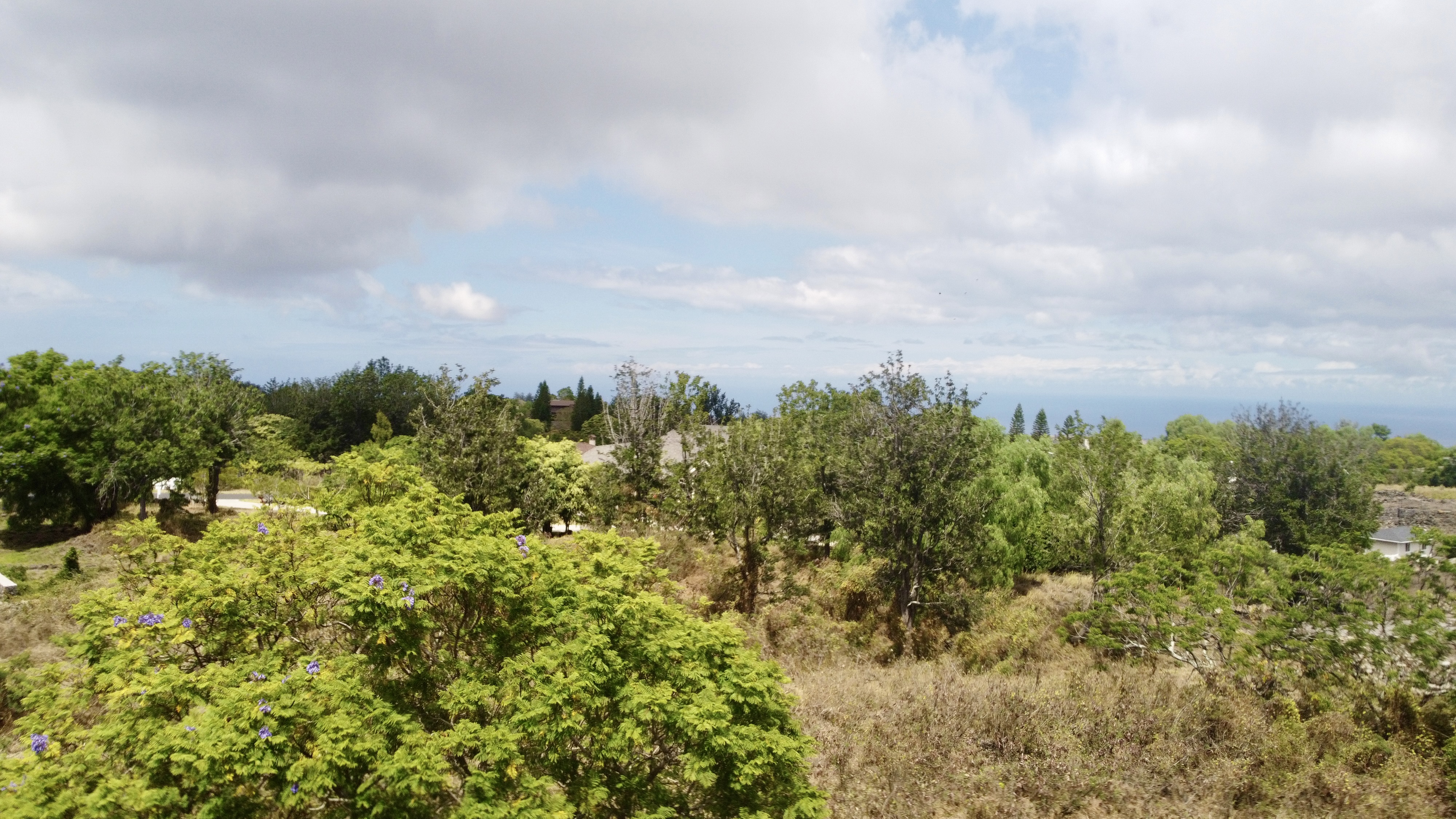 72 Lot Kailua-Kona, HI 96740 - Photo 3 of 10 view of a bunch of trees