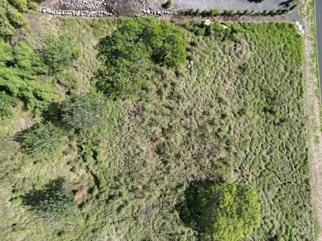 an aerial view of a residential houses with a yard and lake