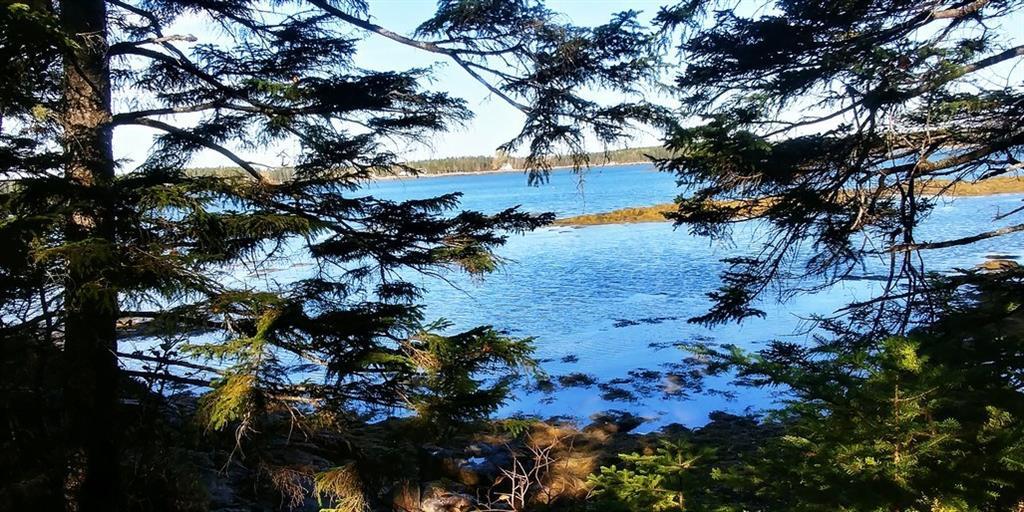 0 Back Shore Road Steuben, ME 04680 - Photo 7 of 16 Photo