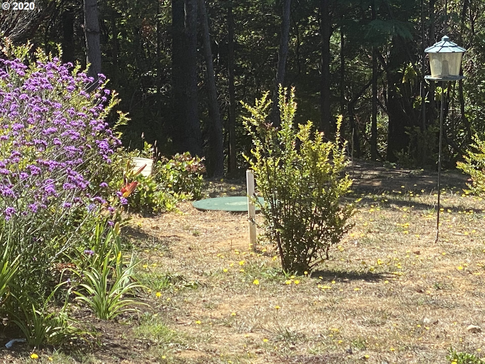 54532 Morrison Road Bandon, OR 97411 - Photo 23 of 31 Gallery Image 23