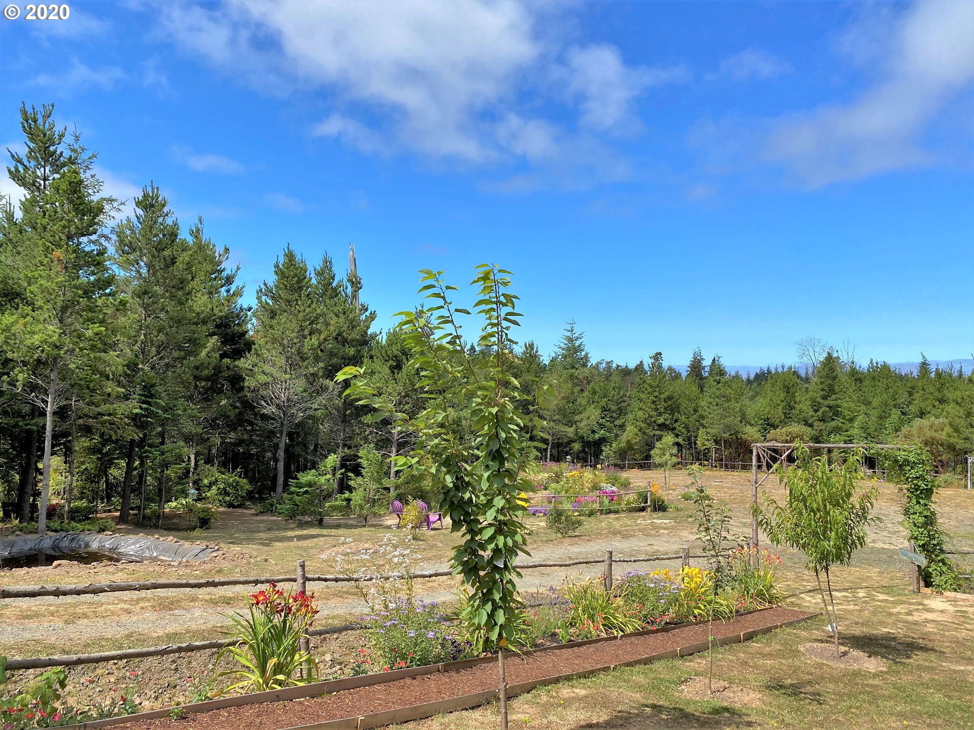 54532 Morrison Road Bandon, OR 97411 - Photo 8 of 31 Gallery Image 8