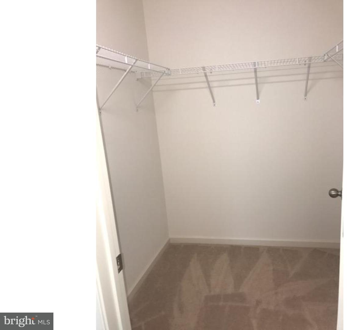 717 Kelny Road Townsend, DE 19734 - Photo 15 of 19 Walk-in Closet