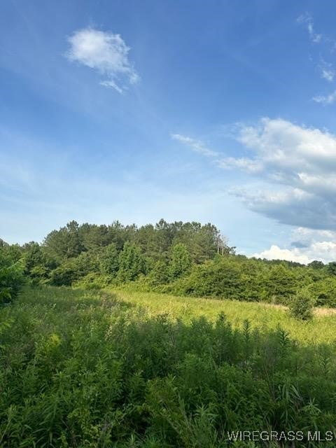 0 County Road 70 Road Ariton, AL 36311 - Photo 17 of 23 Gallery Image 17