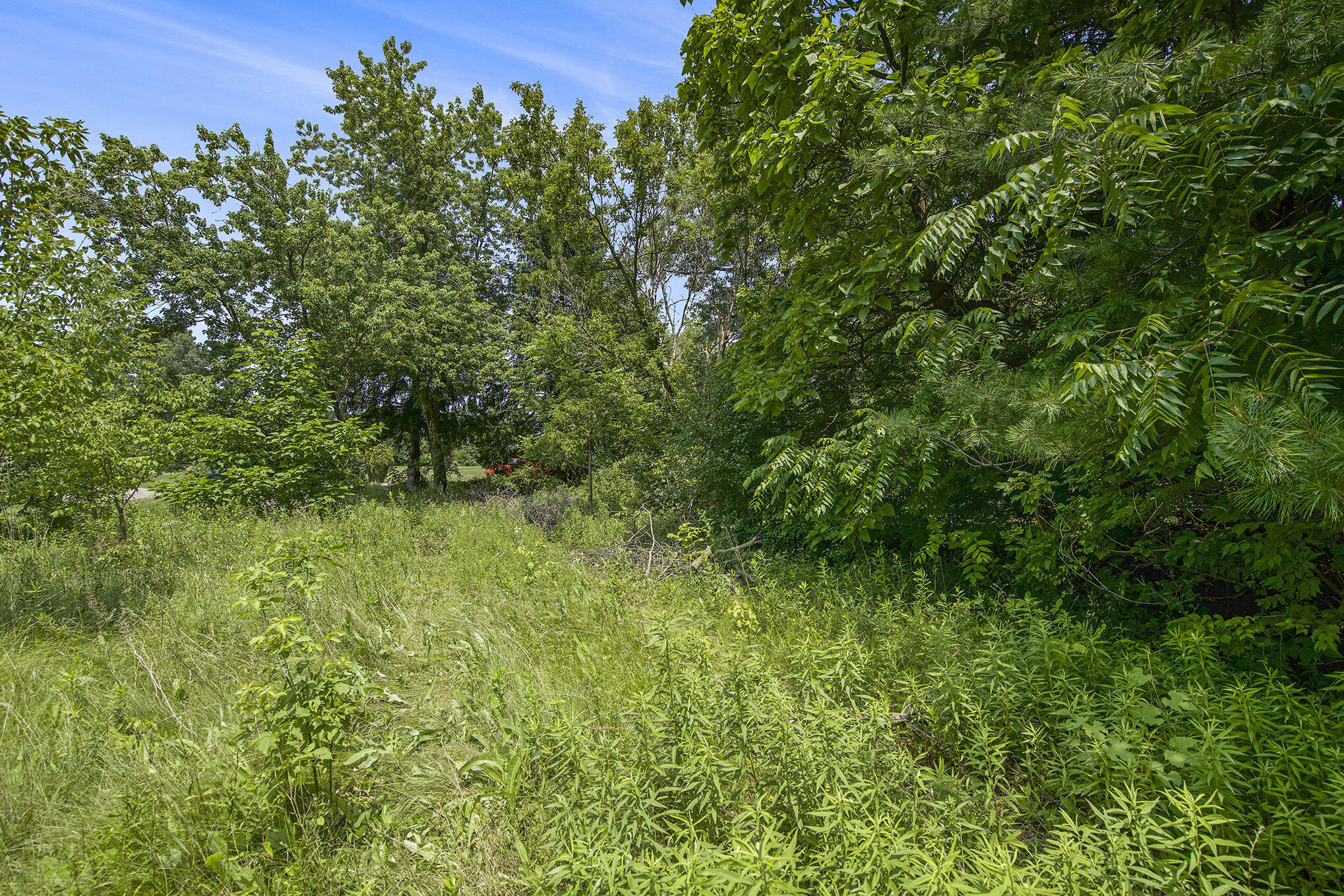 1688 Warren Road Ann Arbor, MI 48105 - Photo 12 of 23 016_dsc05030