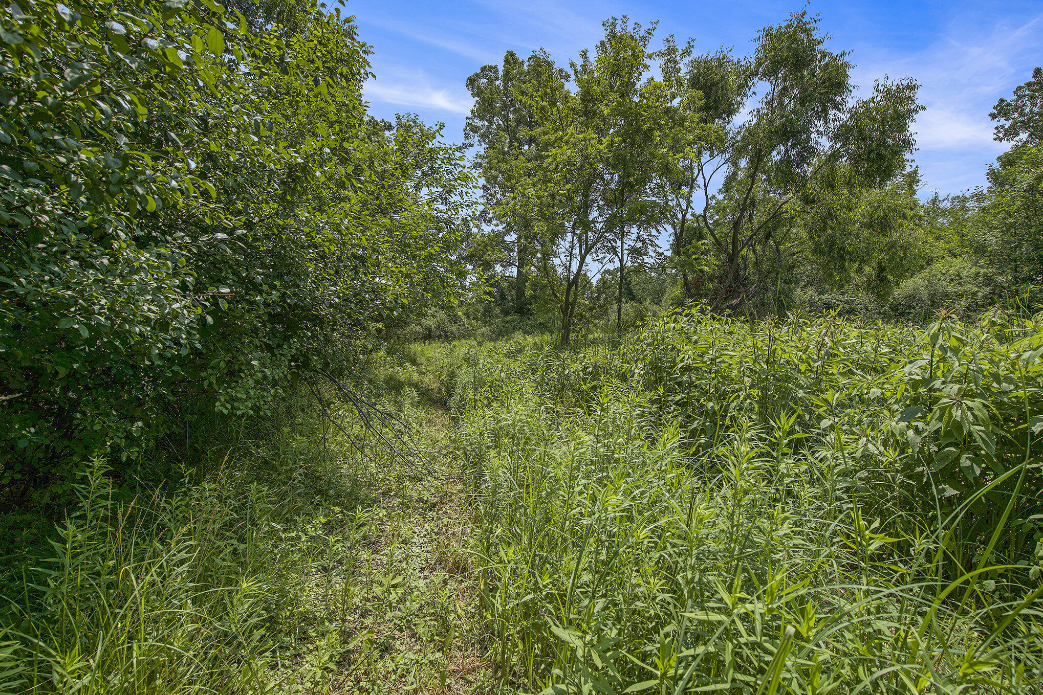 1688 Warren Road Ann Arbor, MI 48105 - Photo 13 of 23 017_dsc05031