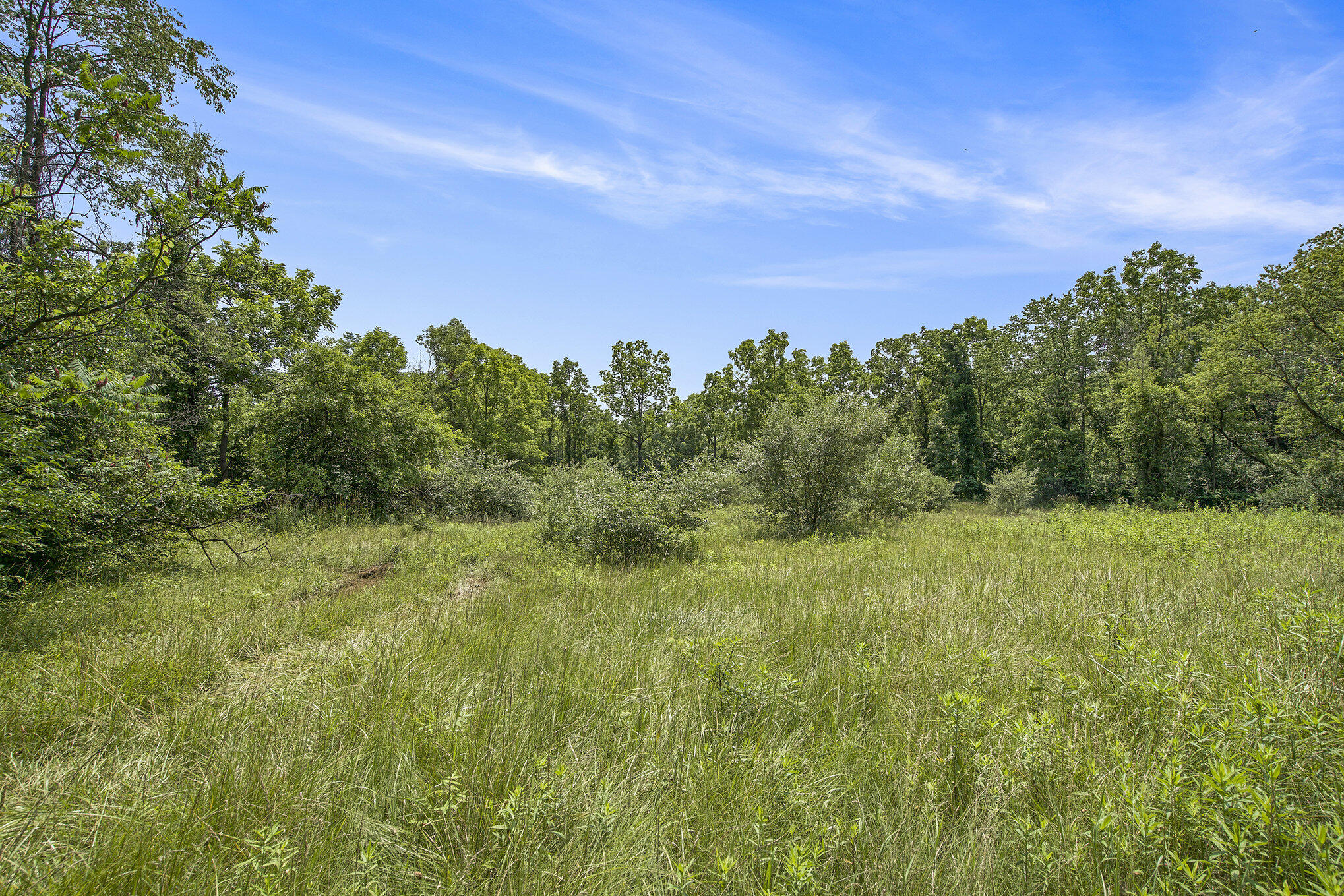 1688 Warren Road Ann Arbor, MI 48105 - Photo 15 of 23 019_dsc05033