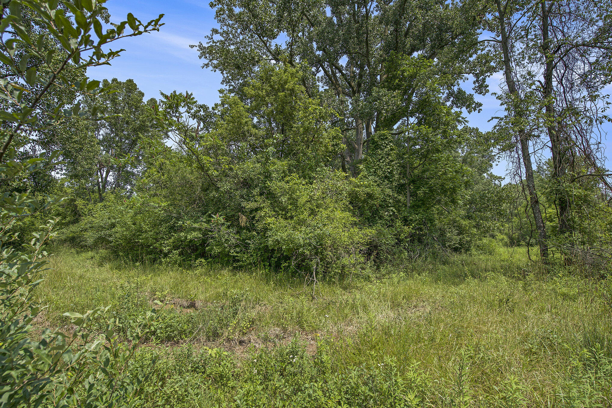 1688 Warren Road Ann Arbor, MI 48105 - Photo 16 of 23 020_dsc05034