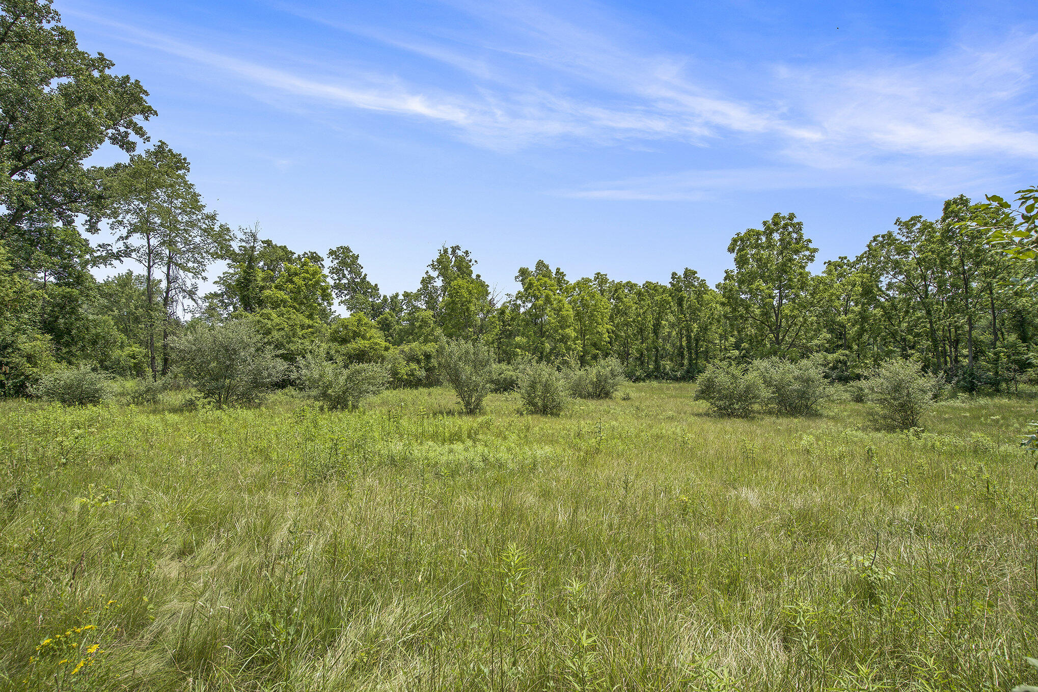 1688 Warren Road Ann Arbor, MI 48105 - Photo 17 of 23 021_dsc05036