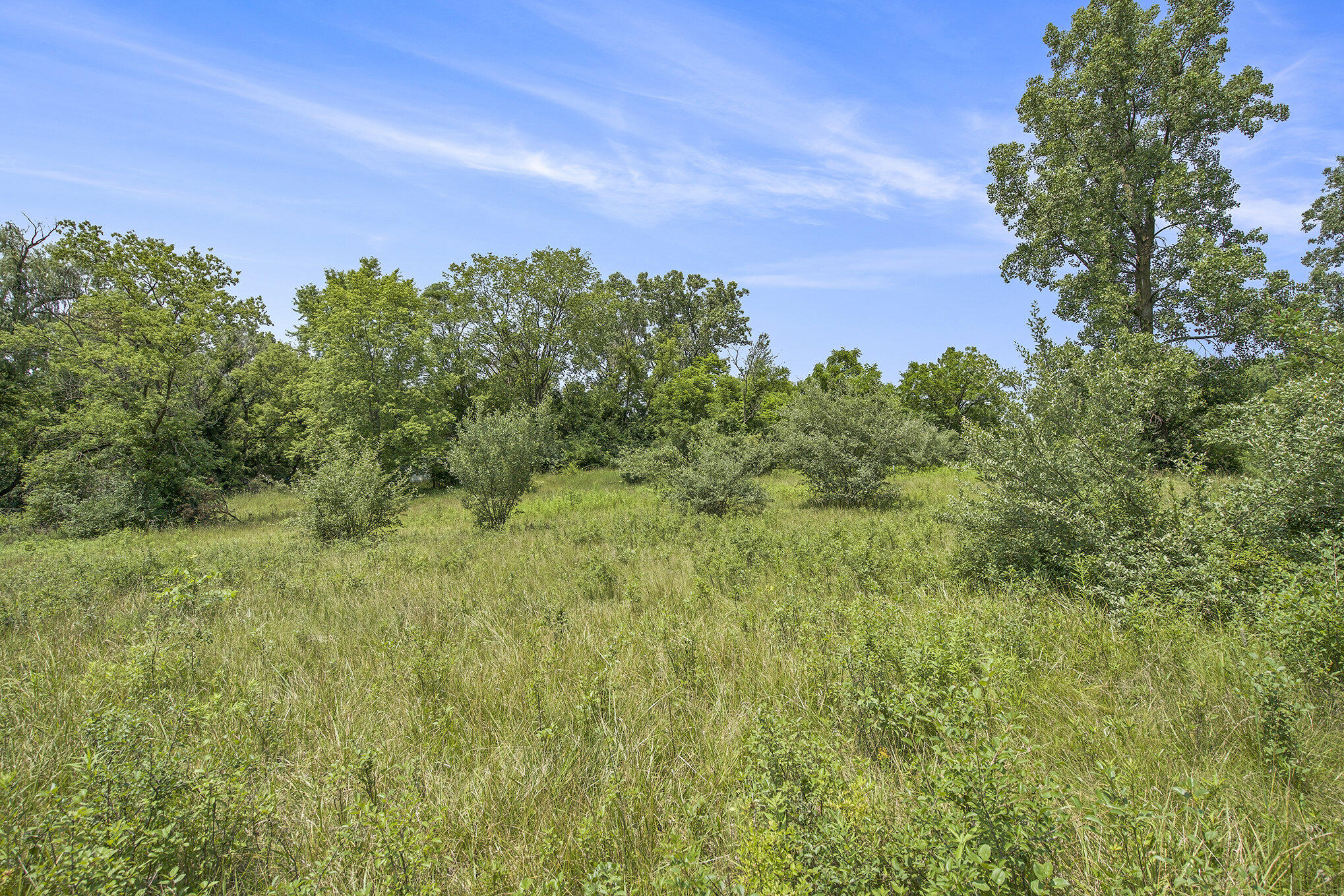 1688 Warren Road Ann Arbor, MI 48105 - Photo 21 of 23 025_dsc05041