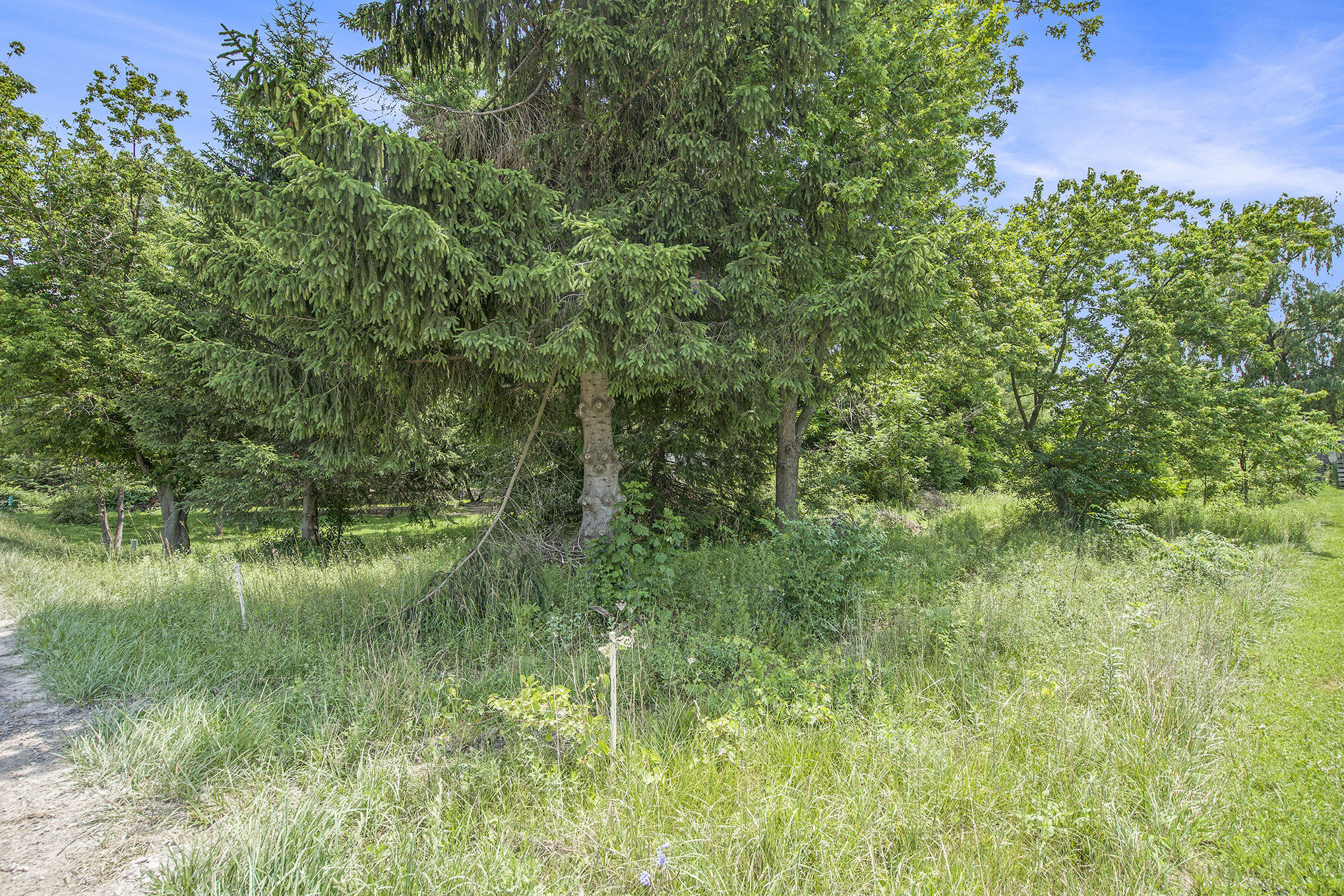 1688 Warren Road Ann Arbor, MI 48105 - Photo 9 of 23 013_dsc05026